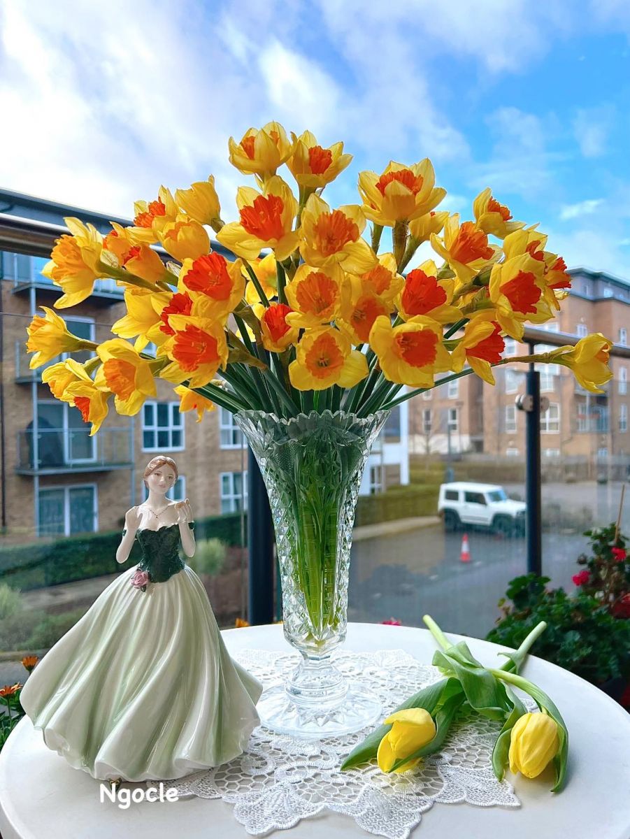 Tử vi ngày 8/10/2022 của 12 cung hoàng đạo